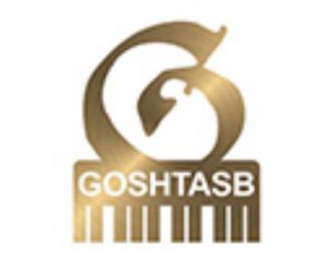 آموزشگاه-موسیقی-گشتاسب-1.jpg goshtasb music